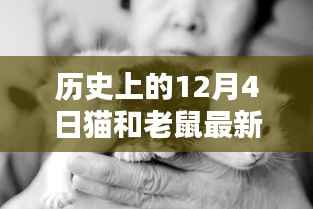 歷史上的12月4日揭秘，貓和老鼠的最新消息回顧與輝煌瞬間（小紅書分享）