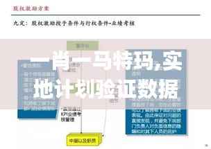 一肖一馬特瑪,實(shí)地計(jì)劃驗(yàn)證數(shù)據(jù)_完整版2.245