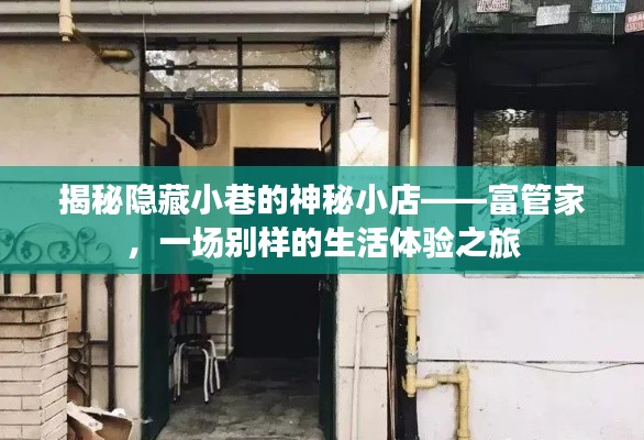 富管家，神秘小巷的生活體驗(yàn)之旅揭秘