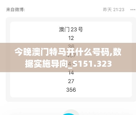 今晚澳門特馬開什么號碼,數(shù)據(jù)實施導向_S151.323