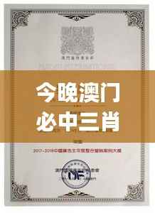 今晚澳門必中三肖圖片,實踐案例解析說明_專屬款13.471