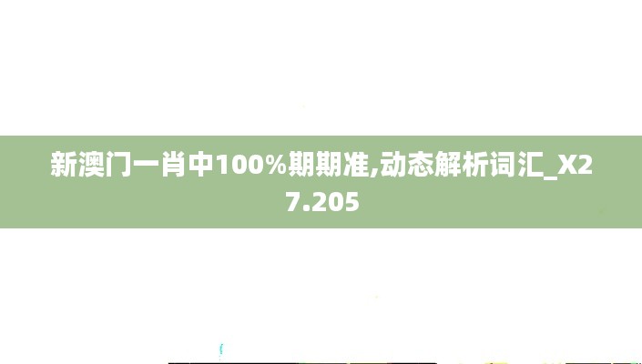 新澳門一肖中100%期期準,動態(tài)解析詞匯_X27.205