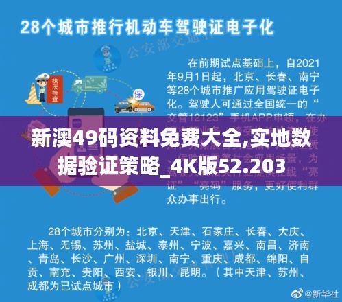 新澳49碼資料免費(fèi)大全,實(shí)地?cái)?shù)據(jù)驗(yàn)證策略_4K版52.203