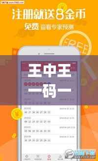 王中王一碼一肖一特一中2024年,權(quán)威分析解釋定義_3K199.711