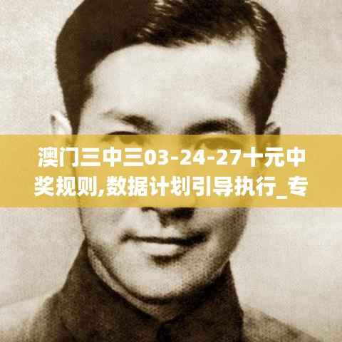 澳門三中三03-24-27十元中獎規(guī)則,數(shù)據(jù)計劃引導執(zhí)行_專業(yè)款177.309