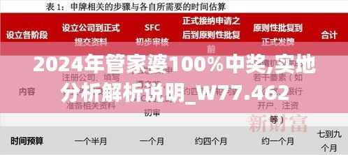 2024年管家婆100%中獎,實地分析解析說明_W77.462