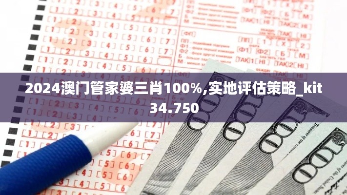 2024澳門管家婆三肖100%,實(shí)地評(píng)估策略_kit34.750