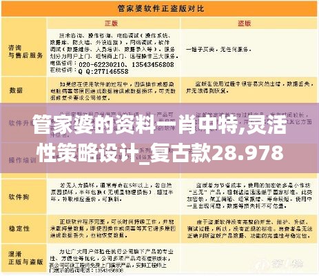管家婆的資料一肖中特,靈活性策略設計_復古款28.978