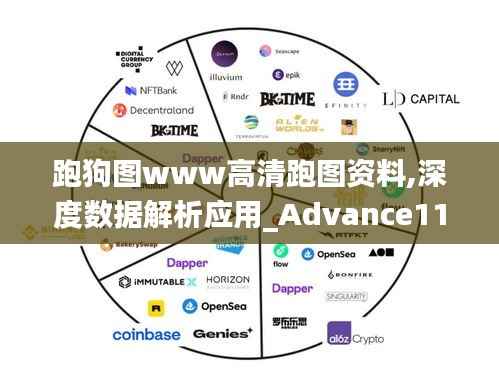 跑狗圖www高清跑圖資料,深度數(shù)據(jù)解析應(yīng)用_Advance116.216