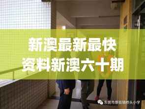 新澳最新最快資料新澳六十期,實(shí)地分析數(shù)據(jù)執(zhí)行_桌面款64.887