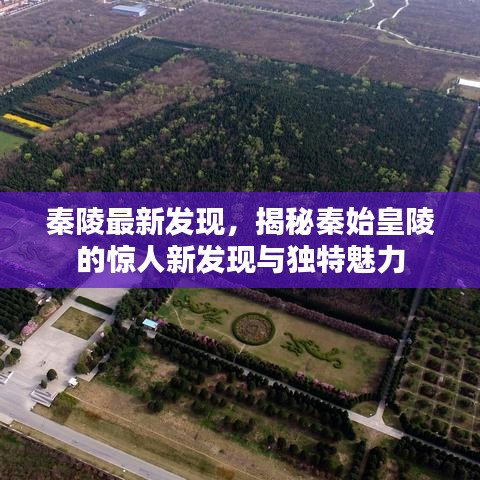 秦始皇陵最新揭秘，驚人新發(fā)現(xiàn)展現(xiàn)獨(dú)特魅力