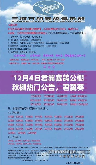 特色 第205頁(yè)