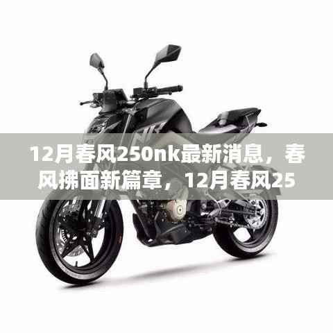 春風拂面新篇章，12月春風250nk全面評測與最新消息介紹