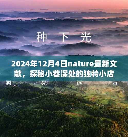 Nature最新文獻(xiàn)揭示，小巷深處的獨(dú)特小店，美食天堂的隱藏寶藏（2024年12月4日）