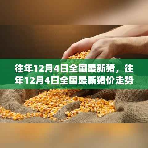 探究市場波動與個人立場，全國最新豬價走勢分析——往年12月4日深度觀察報告