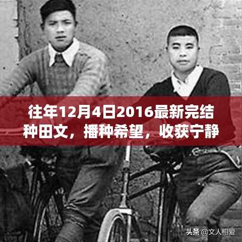 心靈與自然的美妙邂逅，播種希望，收獲寧靜——最新完結(jié)種田文賞析