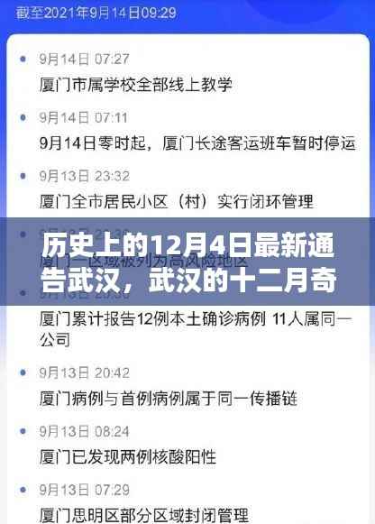 武漢的奇跡，十二月四日的溫馨日常故事