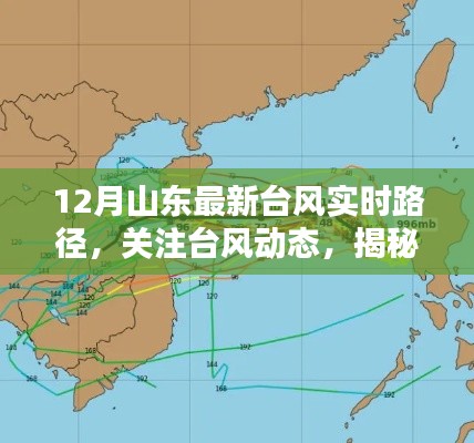 山東最新臺風實時路徑，揭秘臺風動態(tài)及影響分析