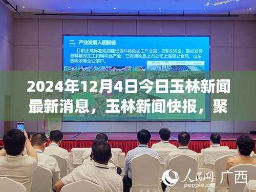 2024年12月4日玉林新聞速遞，聚焦新篇章，解讀最新動態(tài)