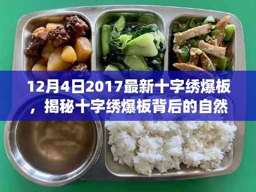 揭秘十字繡爆板背后的自然之旅，一場(chǎng)心靈之旅的啟程
