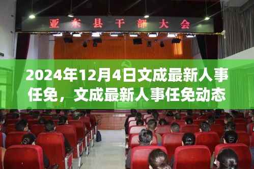 文成縣人事任免動態(tài)，深度解讀與多維分析（最新更新）