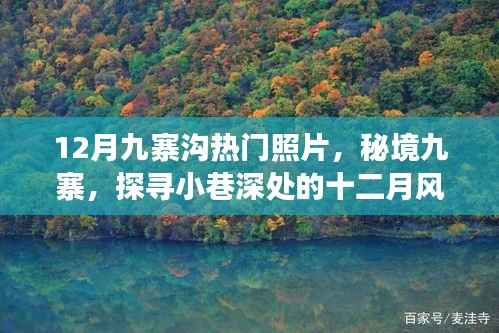 秘境九寨，探尋小巷深處的十二月風(fēng)光攝影之旅，熱門照片欣賞