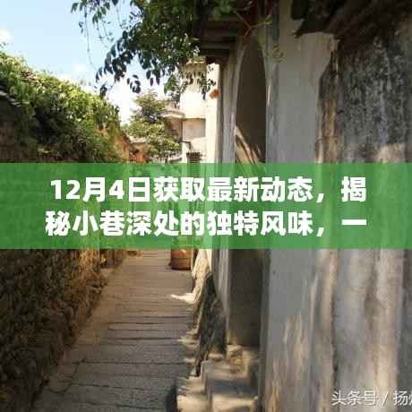 揭秘日常喧囂中的隱藏美味，小巷深處的特色小店新發(fā)現(xiàn)報(bào)道