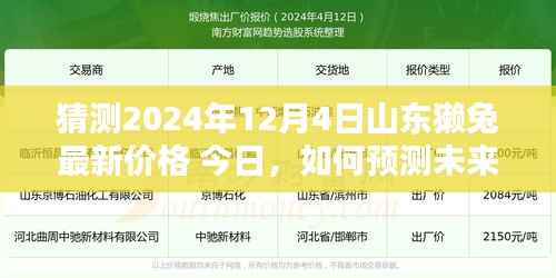 山東獺兔最新價(jià)格預(yù)測(cè)指南，如何估算未來價(jià)格（以山東獺兔為例）猜測(cè)步驟詳解及未來趨勢(shì)分析（2024年12月4日）