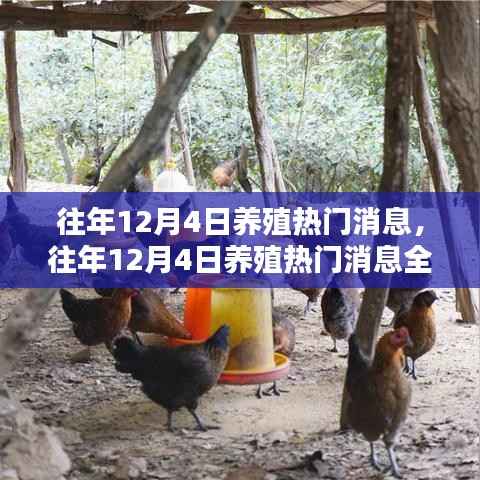 2024年12月6日 第11頁