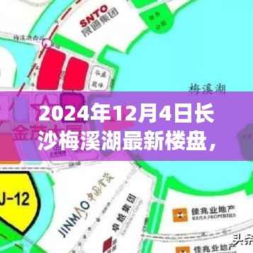 揭秘長(zhǎng)沙梅溪湖最新樓盤與小巷特色小店，探尋不一樣的風(fēng)情韻味