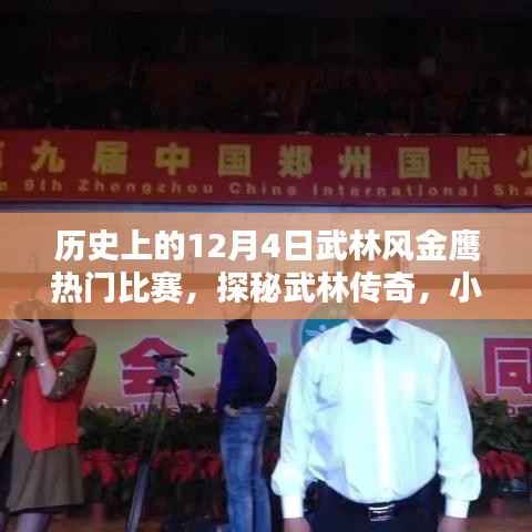 武林風(fēng)金鷹熱門比賽日，熱血對(duì)決與小巷深處的武林傳奇探秘