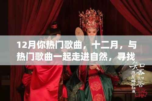 十二月熱門歌曲，心靈靜謐的自然之旅