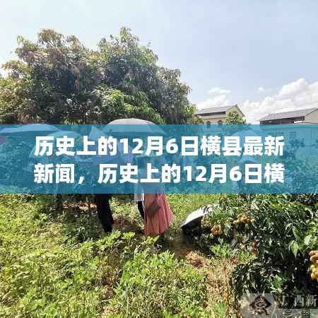 歷史上的12月6日橫縣新聞回顧與深度評測