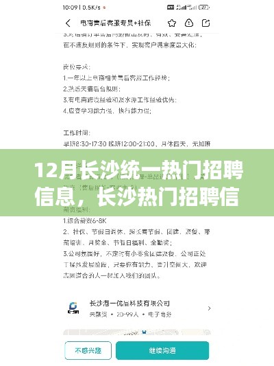 長沙熱門招聘12月全攻略，求職步驟詳解與招聘信息統(tǒng)一指南