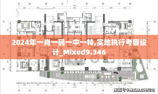 2024年一肖一碼一中一特,實地執(zhí)行考察設(shè)計_Mixed9.346