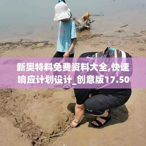 新奧特料免費(fèi)資料大全,快速響應(yīng)計(jì)劃設(shè)計(jì)_創(chuàng)意版17.505