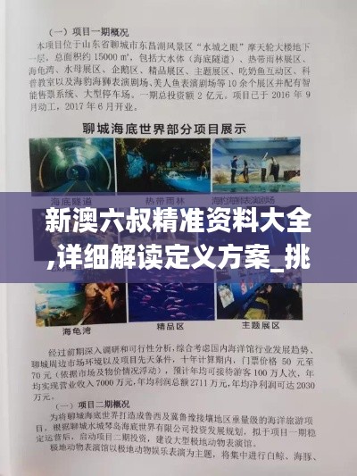 新澳六叔精準(zhǔn)資料大全,詳細(xì)解讀定義方案_挑戰(zhàn)款11.182