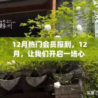 12月熱門會(huì)員心靈之旅，尋找內(nèi)心的桃花源