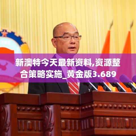 新澳特今天最新資料,資源整合策略實施_黃金版3.689