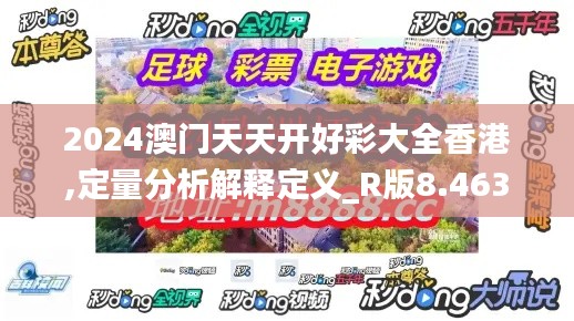 2024澳門天天開好彩大全香港,定量分析解釋定義_R版8.463