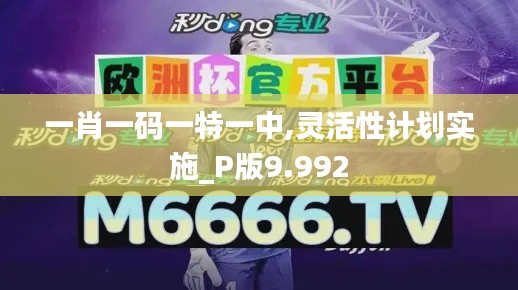 一肖一碼一特一中,靈活性計(jì)劃實(shí)施_P版9.992