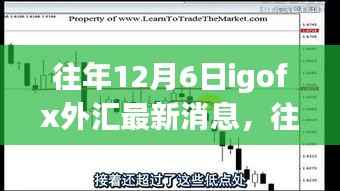 往年12月6日IGOFX外匯最新消息深度解析，洞悉全球金融市場動態(tài)（小紅書版）