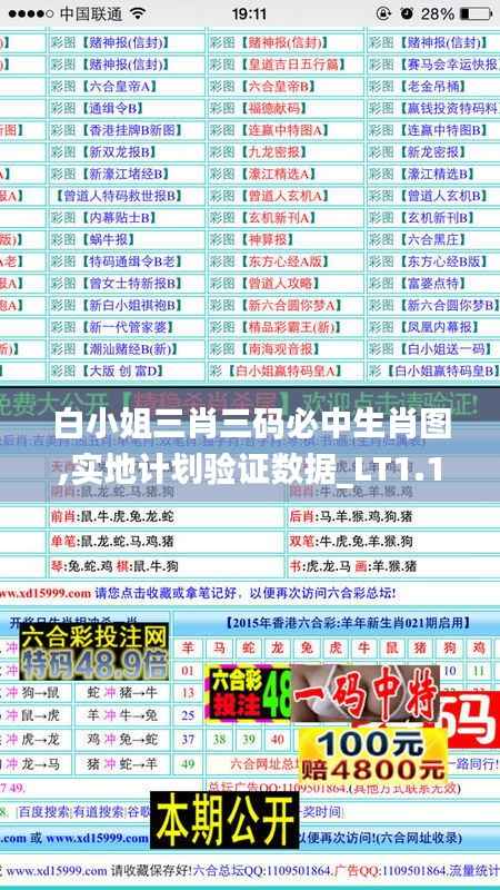 白小姐三肖三碼必中生肖圖,實(shí)地計(jì)劃驗(yàn)證數(shù)據(jù)_LT1.182