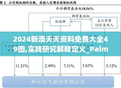 2024新澳天天資料免費(fèi)大全49圖,實踐研究解釋定義_PalmOS13.191