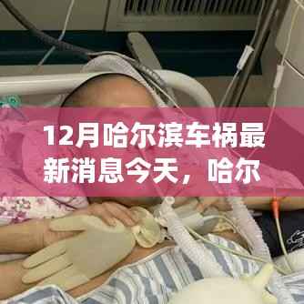 哈爾濱車禍背后的故事與隱秘小巷美食奇遇，今日最新消息揭秘特色小店的獨(dú)特魅力