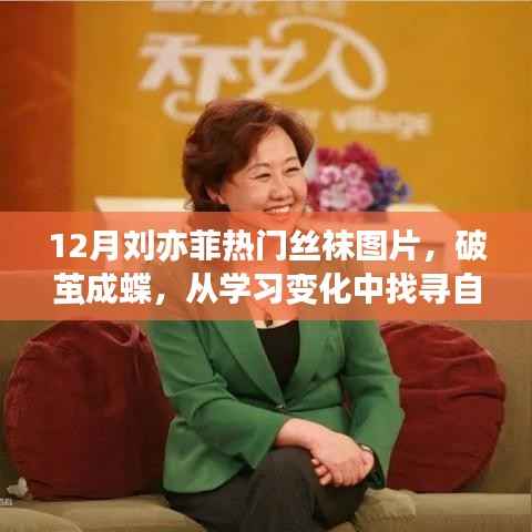 劉亦菲的蛻變之路，從學(xué)習(xí)變化中找尋自信與成就感的絲襪故事，12月熱門(mén)圖片展現(xiàn)破繭成蝶之美