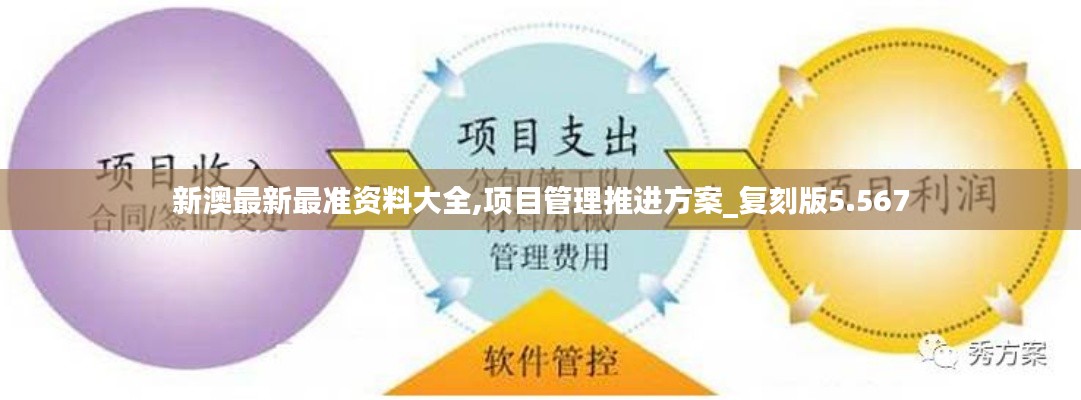 新澳最新最準(zhǔn)資料大全,項(xiàng)目管理推進(jìn)方案_復(fù)刻版5.567