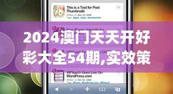 2024澳門天天開好彩大全54期,實(shí)效策略解析_WP版9.594