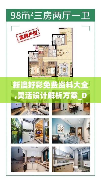 新澳好彩免費(fèi)資料大全,靈活設(shè)計(jì)解析方案_DX版16.488