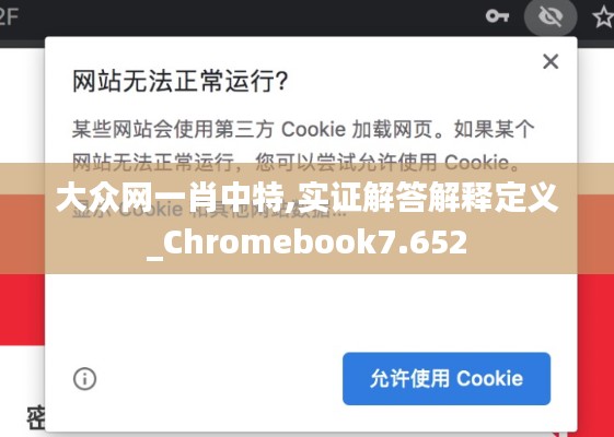 大眾網(wǎng)一肖中特,實(shí)證解答解釋定義_Chromebook7.652